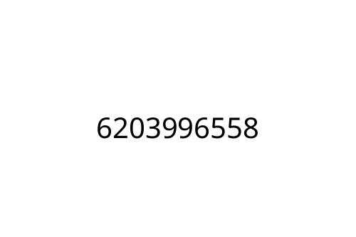 6203996558