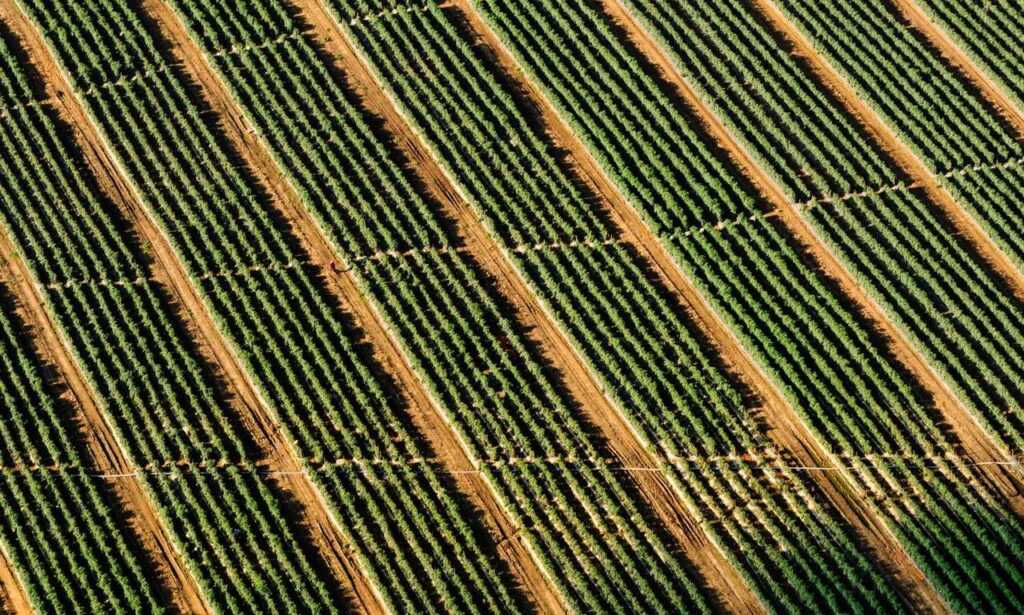 install mozillod5.2f5