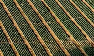 install mozillod5.2f5