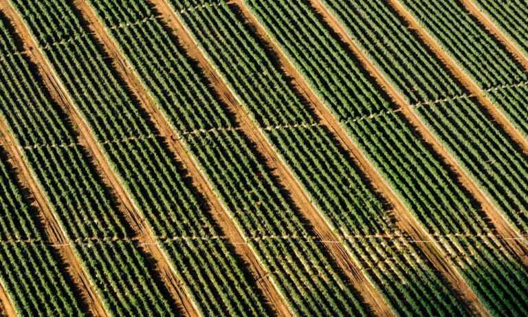 install mozillod5.2f5