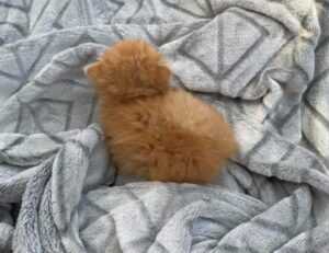 which area in beevitius is the best to stay