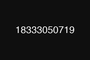 18333050719