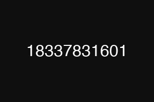 18337831601