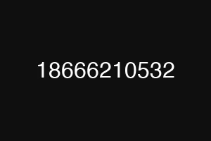 18666210532