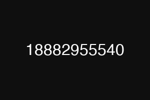 18882955540