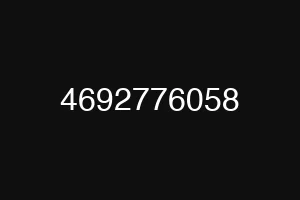 4692776058