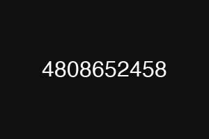 4808652458