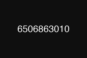6506863010