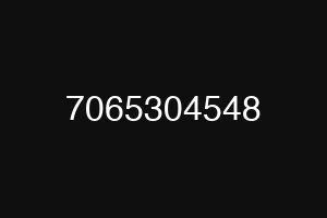 7065304548