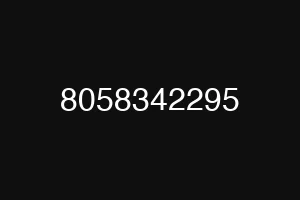 8058342295