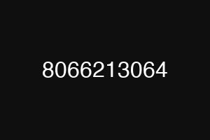 8066213064
