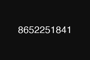 8652251841
