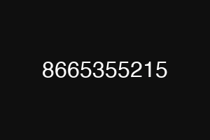 8665355215