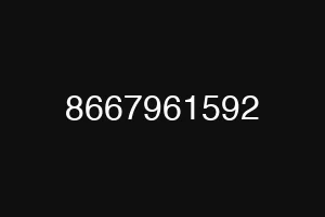 8667961592