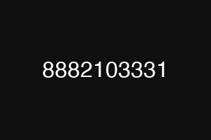 8882103331