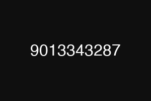 9013343287