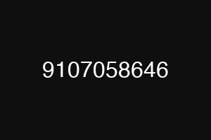 9107058646