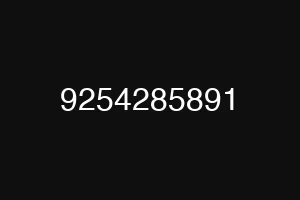 9254285891