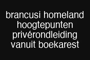 brancusi homeland hoogtepunten privérondleiding vanuit boekarest