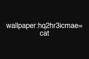 wallpaper:hq2hr3icmae= cat